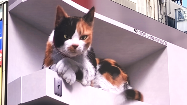 クロス新宿ビジョン「新宿東口の猫」