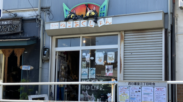 ねこあくしょん