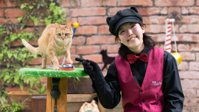 那須どうぶつ王国「ザ・キャッツ」