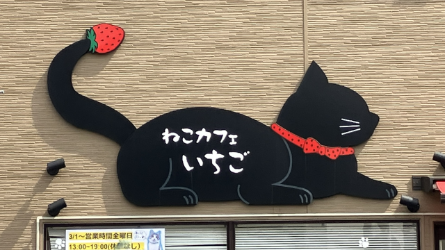 猫カフェいちご