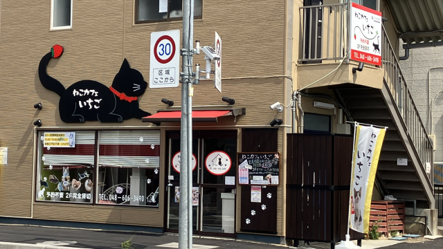 猫カフェいちご