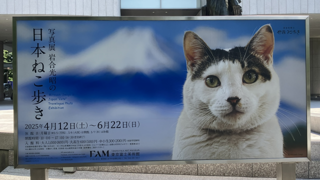 日本ねこ歩き